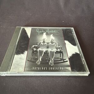 Jane's Addiction: Nothing's Shocking